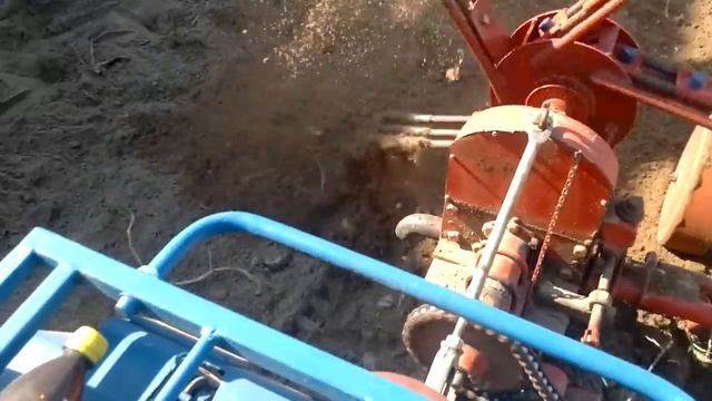 УБОРКА Урожая картофеля мотоблоком МТЗ/Копка картофеля 2013 смотреть онлайн