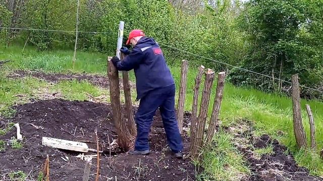 Дача в мае 2021. Продолжаем расчищать участок. Выкорчёвываем деревья. Отдыхаем всей семьёй! смотреть онлайн