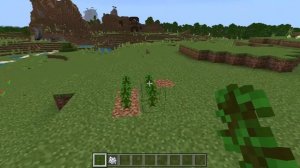 Minecraft, How To Grow Large Jungle Trees (Works On Bedrock And Java)