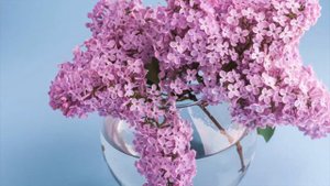 Как защитится от сглаза и зависти на работе