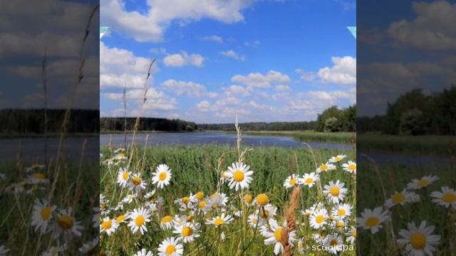 Разрешите подарить улыбку! смотреть онлайн