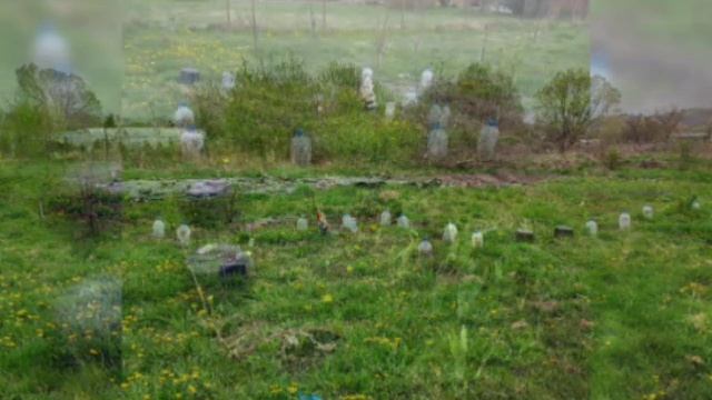 Начало мая в Бризе 2022