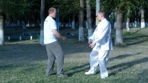 Техника Туй шоу и Циньна