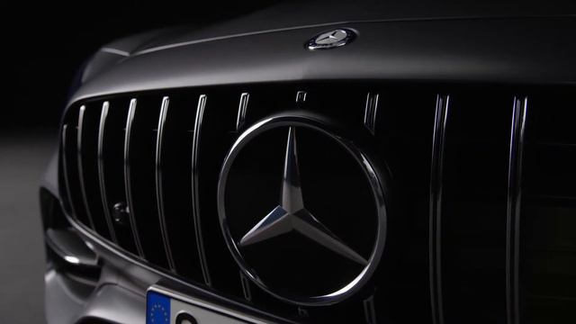 Эксклюзивная решетка радиатора AMG Panamericana.