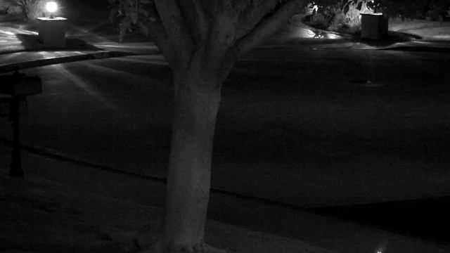 Hikvision ds-2cd2032-i 12mm License Plate Capture смотреть онлайн