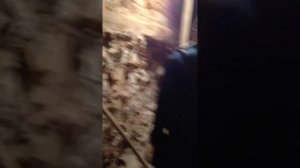 красноказарменная 3