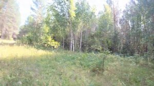 #Коп металлолома. В поисках двух старых бараков в тайге.