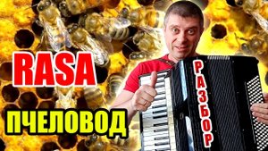 Обучение Rasa - Ты пчела я Пчеловод на Аккордеоне(аккордеон кавер)