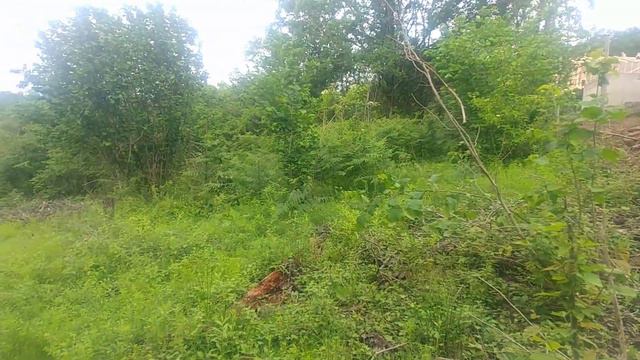 два недорогих небольших участка в Кудепсте/Верхнениколаевское смотреть онлайн