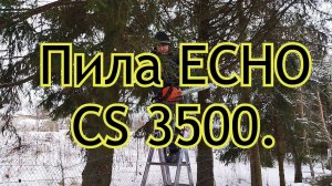 Пила ECHO CS 3500 (Япония). Расчищаем проезд к своему участку.