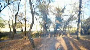 Edit_Video_1635855271781_1080HD.mp4