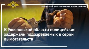 В Ульяновской области полицейские задержали подозреваемых в серии вымогательств