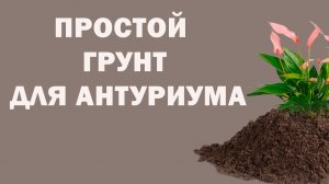 КАКОЙ ГРУНТ ЛЮБИТ АНТУРИУМ / РАСКРЫВАЮ СЕКРЕТ