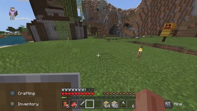 Minecraft How to Grow Sugar Cane Fast