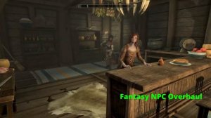 Fantasy NPC Overhaul  semi-realistic anime style Skyrim Mod  애니메이션  스타일 Anniversary Edition