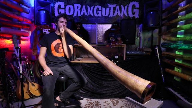 Agave Multidrone Didgeridoo in Eb - AG007 смотреть онлайн