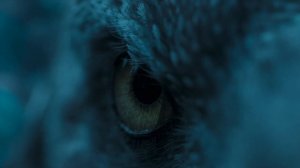 Дромеозавр