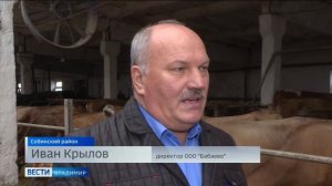 Во Владимирской области разводят английских коров с молоком высокой жирности