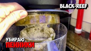 Убираю пенники после теста, выводы | Морской аквариум