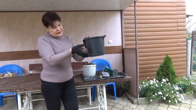 Посадка гиацинтов осенью в горшок на цветение Все шаг за шагом смотреть онлайн