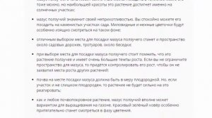 Мазус ползучий, посадка и уход