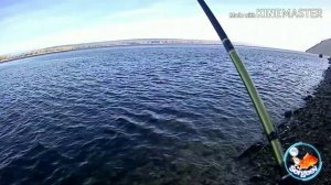 Рыбалка в Морквашах