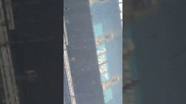 Арнольд Шварцнеггер  Санкт Петербург 2019