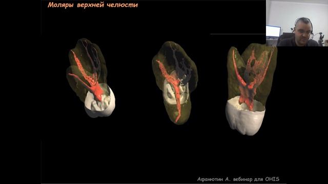 Вебинары зубы