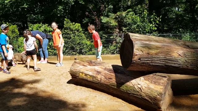 Германия/Поехали в зоопарк(Tiergarten)!!! Отдых с детьми ?