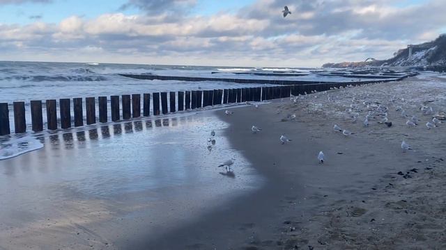 Балтийское море зимой, Светлогорск, Калиниградская область