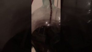 Заливка вина в дубовую бочку