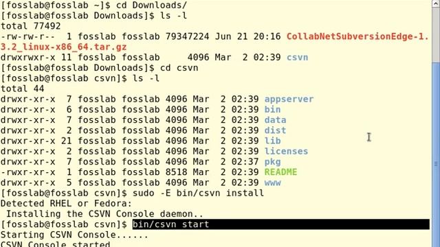 version control system using subversion edge 4 смотреть онлайн