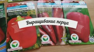 Важные советы при выращивании перца.
