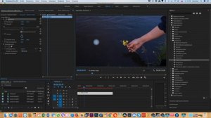 Настройка видео для стоков а Adobe Premiere