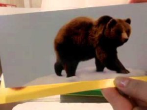 Азбукварик. В дремучем лесу.