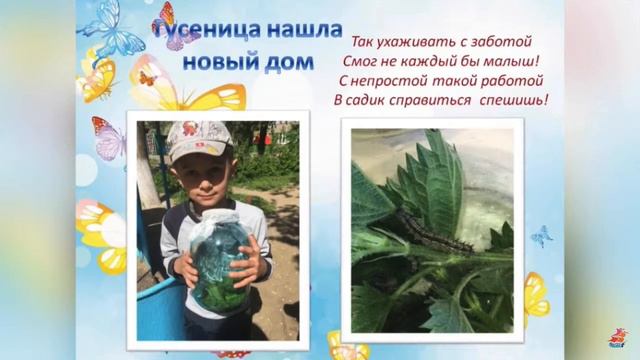 Вебинар