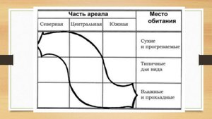 Вид как система популяций