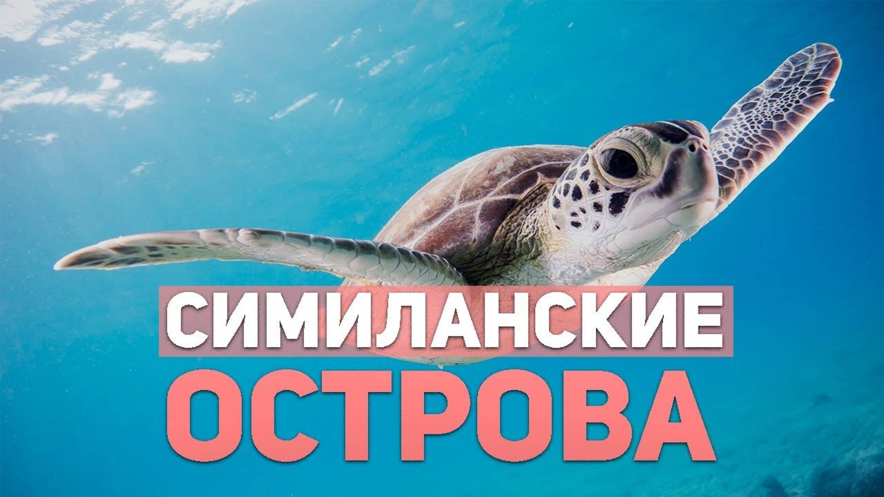 С Пхукета на Симиланы. Экскурсия на острова #симиланы #экскурсия