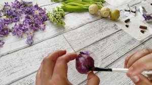 тонировка луковицы гиацинта из холодного фарфора/ холодный фарфор/цветы из холодного фарфора