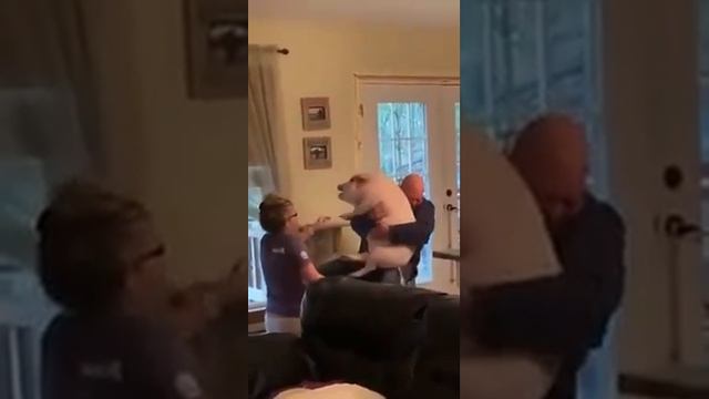 И у свиней воздушная тревога... смотреть онлайн