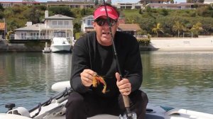 How to rig a Berkley® 6" Gulp!® Grub with Jimmy Decker