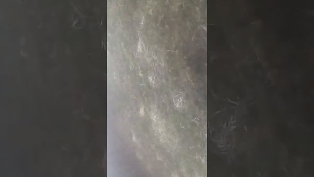 Поймал кошку но она сбежала часть 1 смотреть онлайн