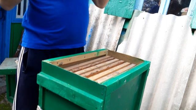 сборка ловушек мой способ.