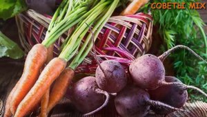 Полезные советы, чтобы избавиться от нитратов на фруктах и овощах