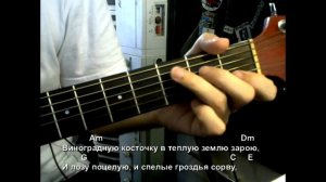 Виноградную косточку (Окуджава). Текст, аккорды, разбор