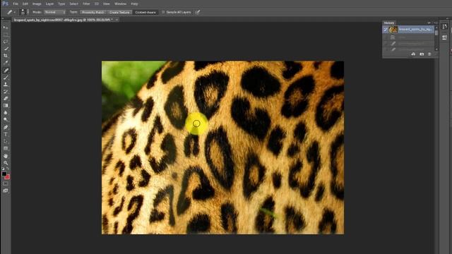 Photoshop Essentials - How to remove the spots using Spot Healing Brush Tool смотреть онлайн