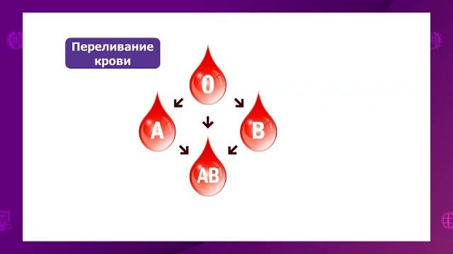 Биология. 8 класс. Группы крови. Переливание крови. Резус-фактор. Агглютинация /08.12.2020/ смотреть онлайн