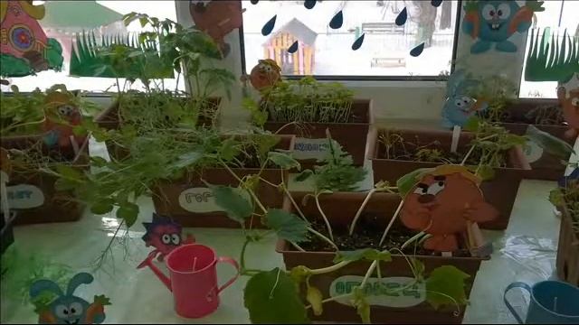 Огород на окне,спектакль Под грибом смотреть онлайн