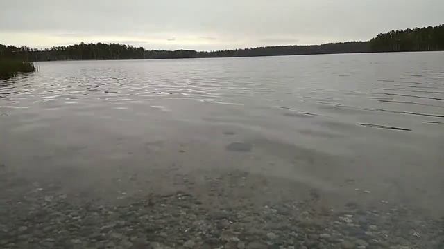 Светлое озеро, оно же Воробьево. Приозерье, Ленобласть смотреть онлайн