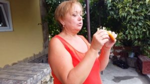 У АЛЛЫ КОВАЛЬЧУК ДОМА ОГОРОД И САД